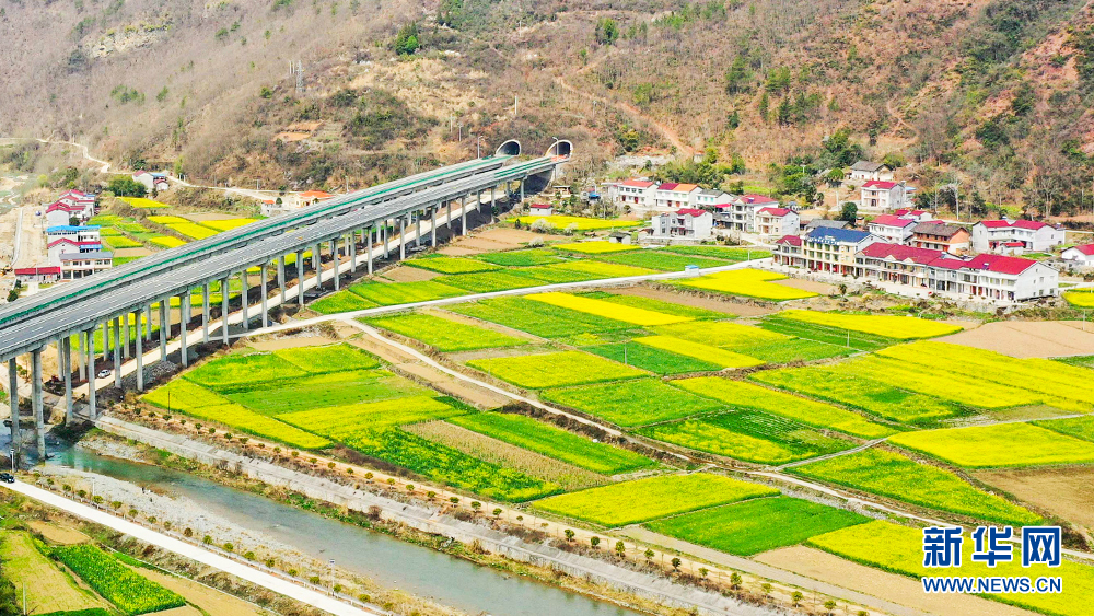 航拍湖北保康縣萬畝油菜花綻放