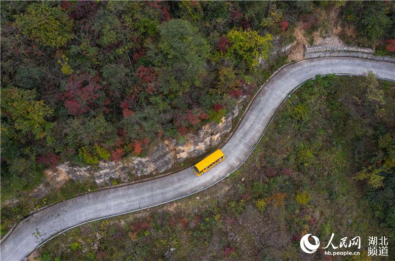 湖北保康：九路寨紅葉醉金秋