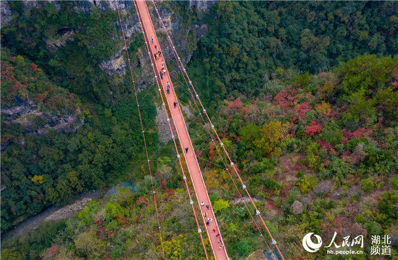 湖北保康：九路寨紅葉醉金秋