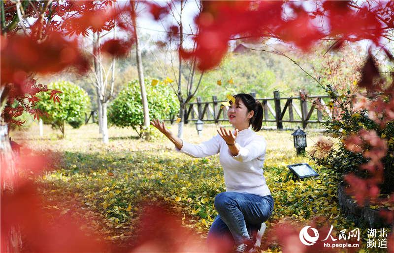 湖北保康：九路寨紅葉醉金秋