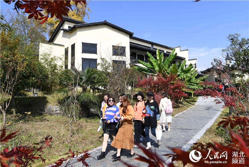 湖北保康：九路寨紅葉醉金秋