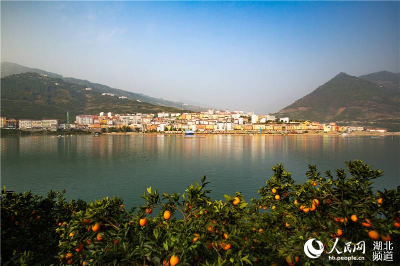 第十屆湖北省龍舟大賽在三峽庫區秭歸揮槳