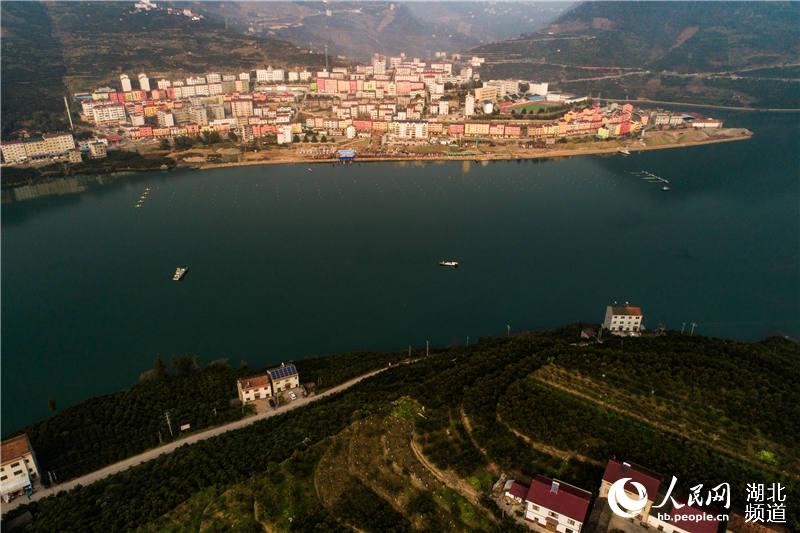第十屆湖北省龍舟大賽在三峽庫區秭歸揮槳