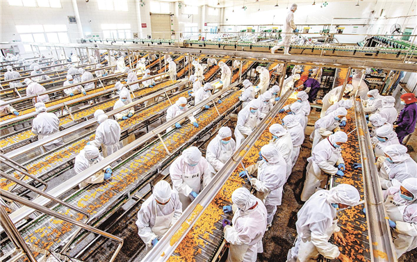 宜昌秭歸柑橘深加工産品遠銷海外