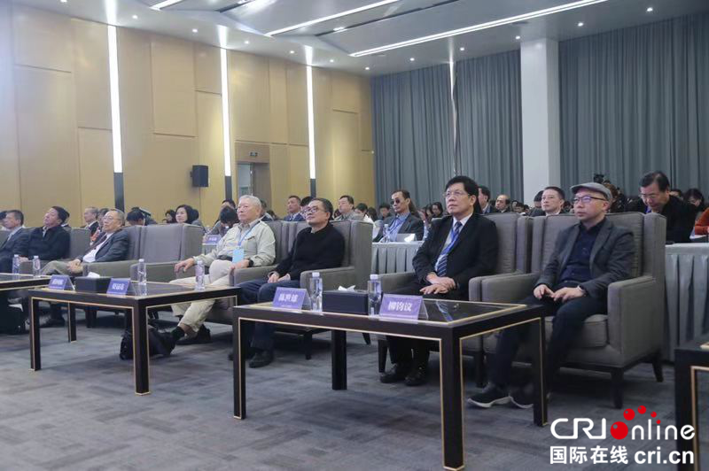 【CRI原創】“華創會”通用航空專場在武漢開發區舉行