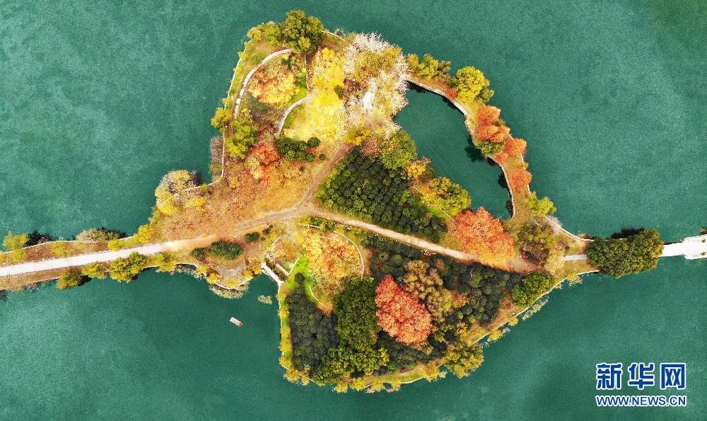 冬日紫陽湖：湖光樹影 絢爛多姿