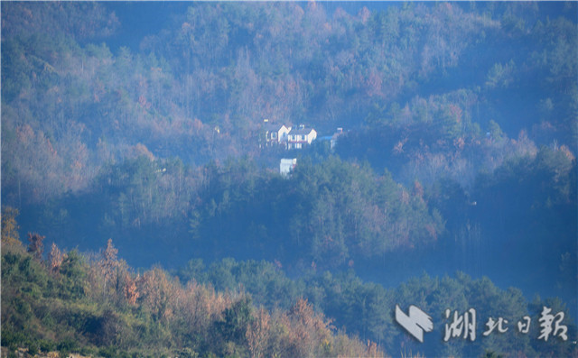 霧中遠安鄉村如水墨畫