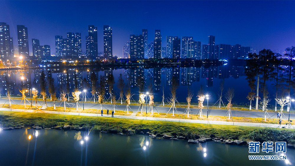 靜夜東湖 絢麗綠道