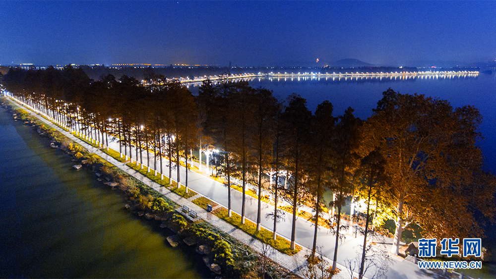 靜夜東湖 絢麗綠道