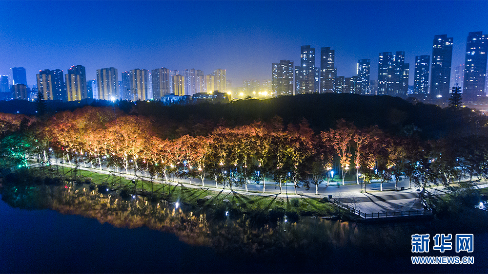 靜夜東湖 絢麗綠道