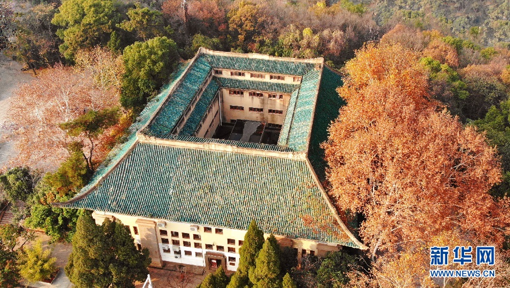 航拍初冬武漢大學 各色樹木與校園古建相映成景