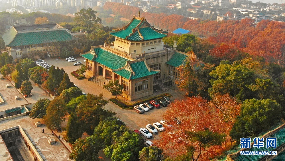 航拍初冬武漢大學 各色樹木與校園古建相映成景