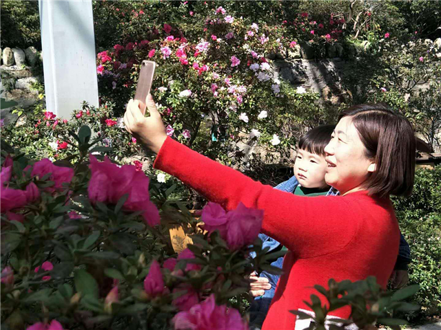 【湖北】【客戶稿】麻城龜峰山景區百花迎春（組圖）