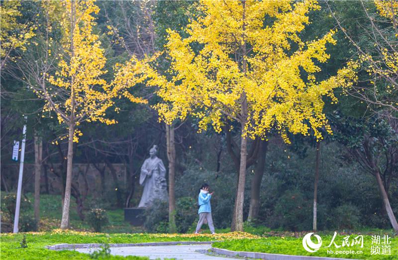 湖北襄陽：多彩冬日校園 絢爛景色如畫