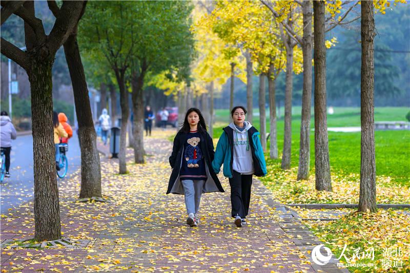 湖北襄陽：多彩冬日校園 絢爛景色如畫