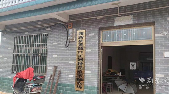 黃石陽新縣煙草專賣局：下足繡花功夫 打造扶貧樣本