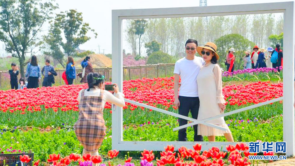 花海春天美 鄉村旅遊熱
