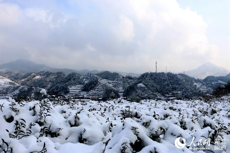 湖北竹山：林海雪原山水美如畫