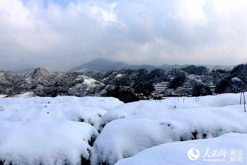 湖北竹山：林海雪原山水美如畫