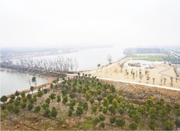 東西湖將“上新”一批公園 兩片“粉色花海”靜待盛放