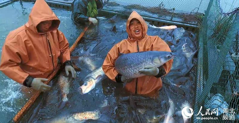 首屆湖北·荊州魚糕節將於1月18日至20日舉辦