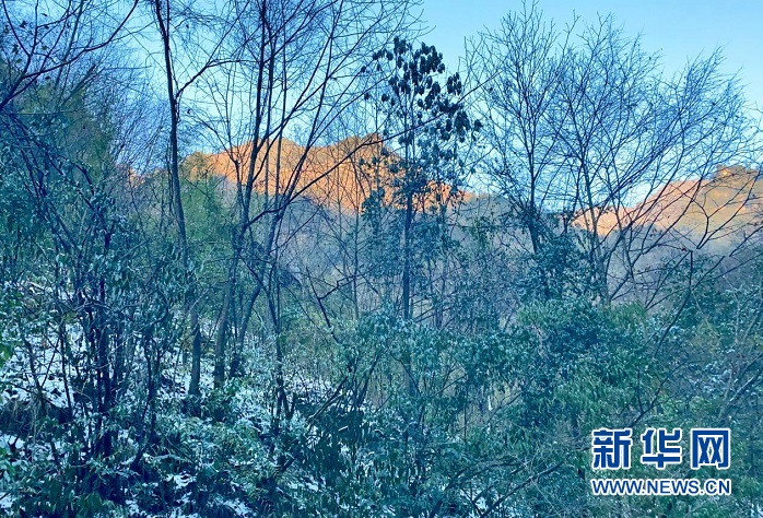 雪後神農架 盡顯靜謐美