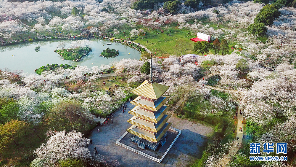 無人機帶你俯瞰“湖北2018”