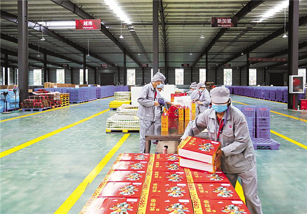 香菇、茶葉、中藥材 隨州三大農産品出口居全省前列_fororder_微信圖片_20210118085757_副本