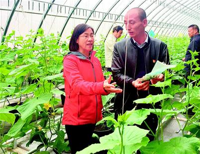 劉惠好委員調研足跡遍及大江南北