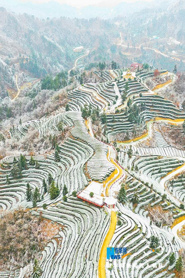 航拍湖北宜昌：雪後茶鄉分外美