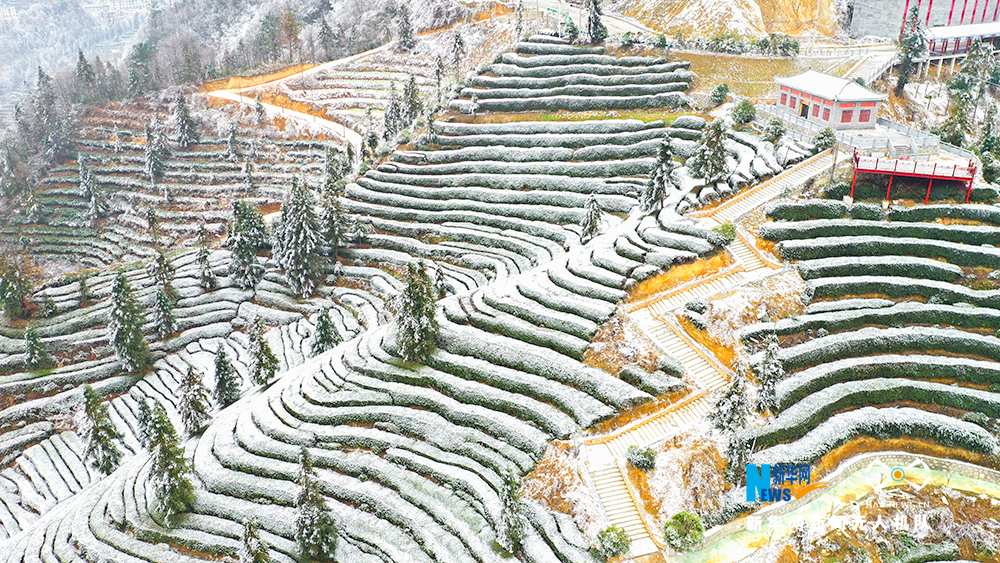 航拍湖北宜昌：雪後茶鄉分外美