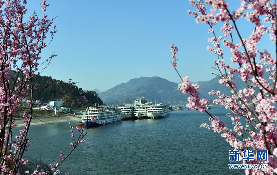 春花爛漫映峽江