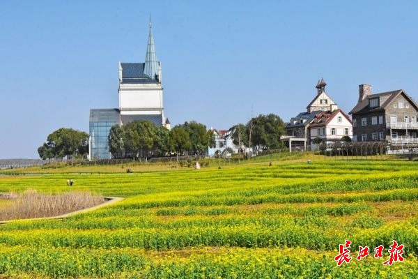 萬名遊客到武漢花博匯踏青賞花