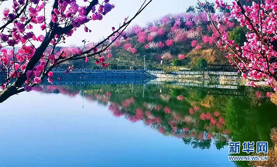 草青花紅三月天 燕兒谷裏風光美