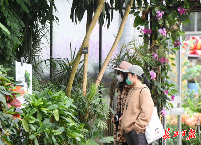 武漢植物園春光無限_fororder_02