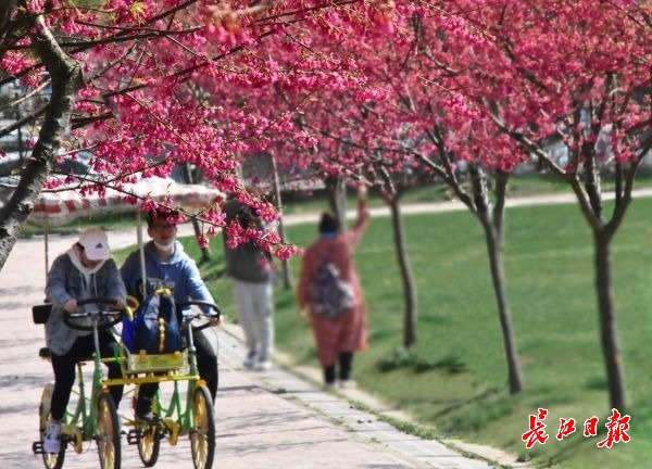 萬名遊客到武漢花博匯踏青賞花