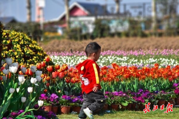 萬名遊客到武漢花博匯踏青賞花