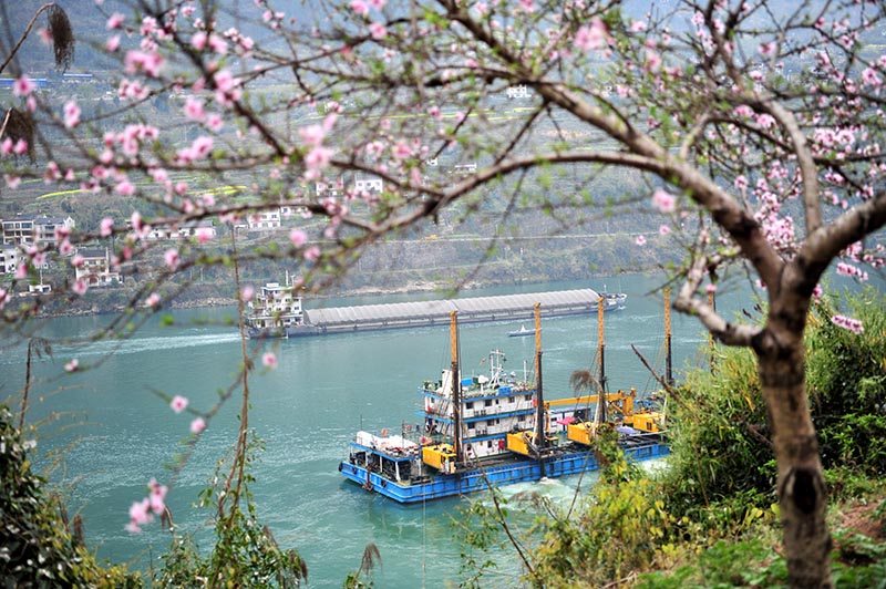 湖北宜昌：長江西陵峽 春景如畫廊