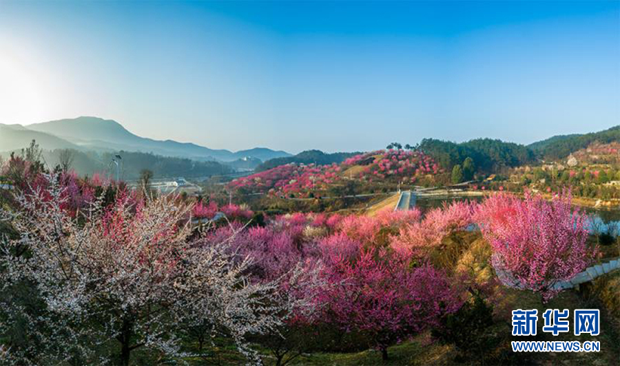 草青花紅三月天 燕兒谷裏風光美