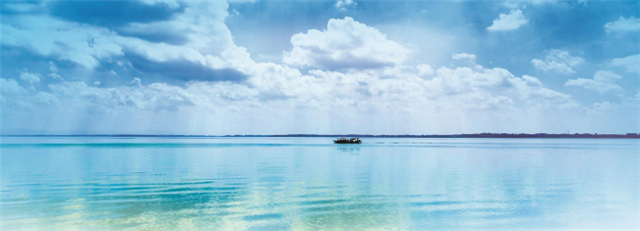 武漢江夏湖泊治理 讓無邊湖水美景歸來_fororder_03