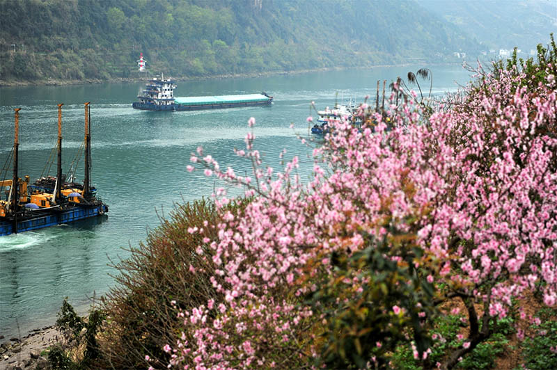 湖北宜昌：長江西陵峽 春景如畫廊