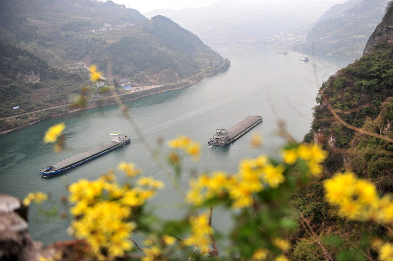 湖北宜昌：長江西陵峽 春景如畫廊