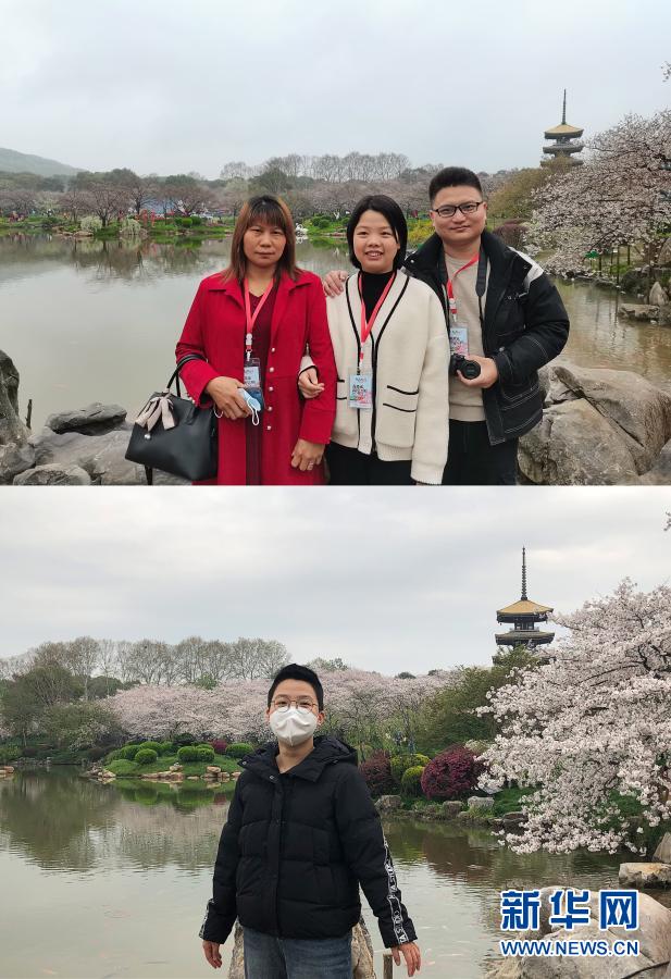 春回英雄城，共赴櫻花約——援鄂醫護代表重返武漢賞櫻記