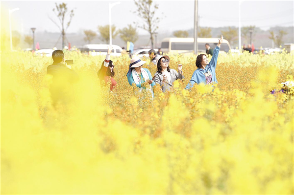 湖北首次發佈“最美油菜花海”_fororder_01