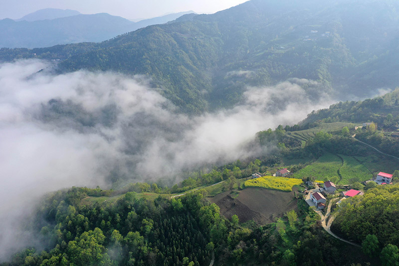 湖北保康：雲霧繞青山 田園入畫來