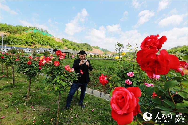湖北竹山：扶貧産業花正開