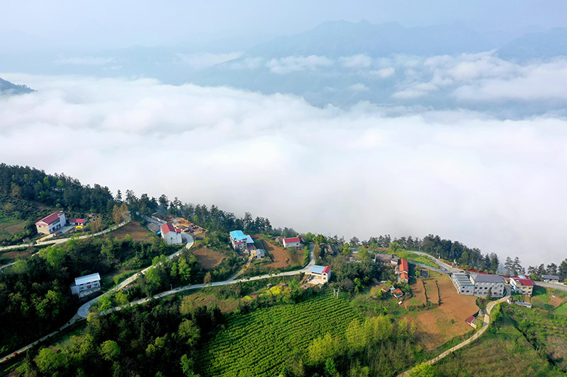 湖北保康：雲霧繞青山 田園入畫來