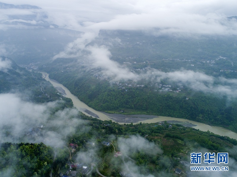 湖北恩施：白雲深處 茶鄉如畫