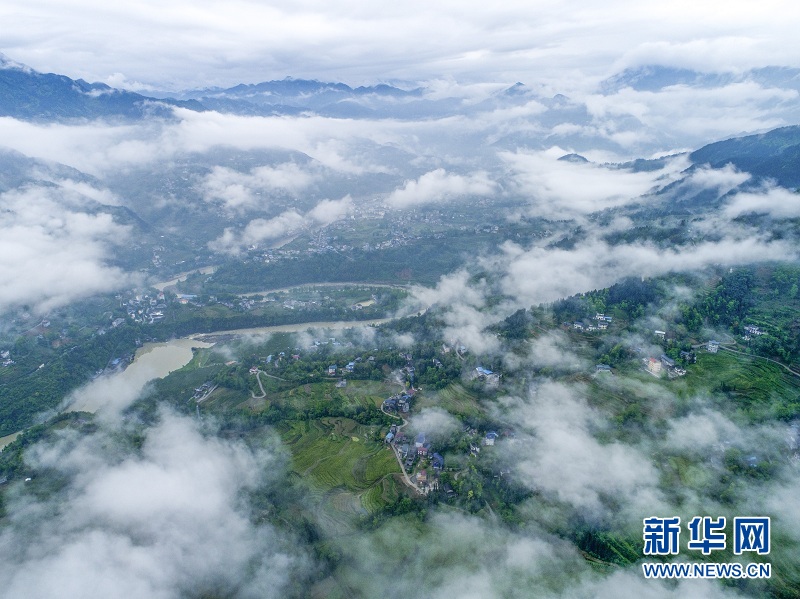 湖北恩施：白雲深處 茶鄉如畫