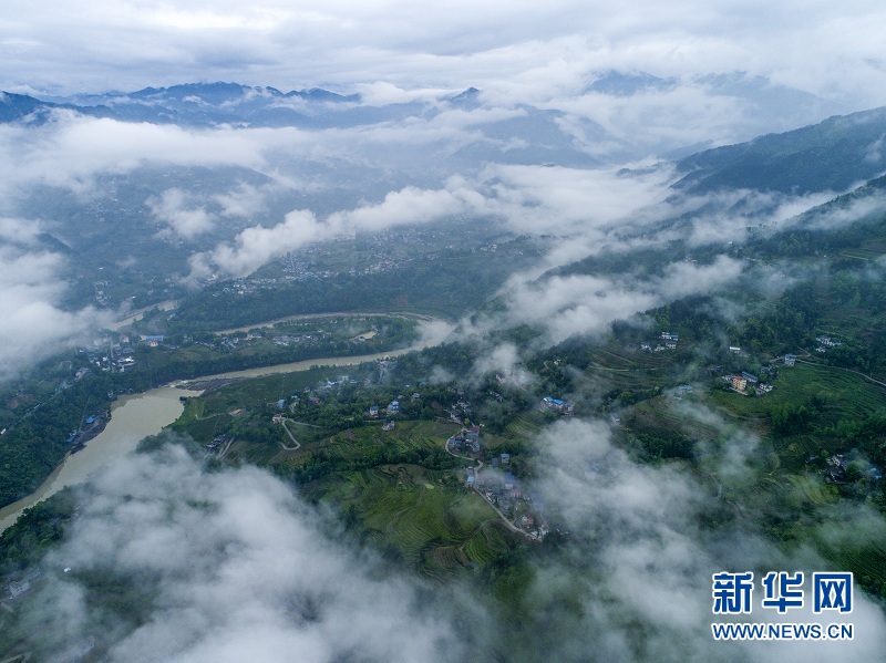 湖北恩施：白雲深處 茶鄉如畫